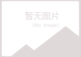 阜阳夏岚水泥有限公司